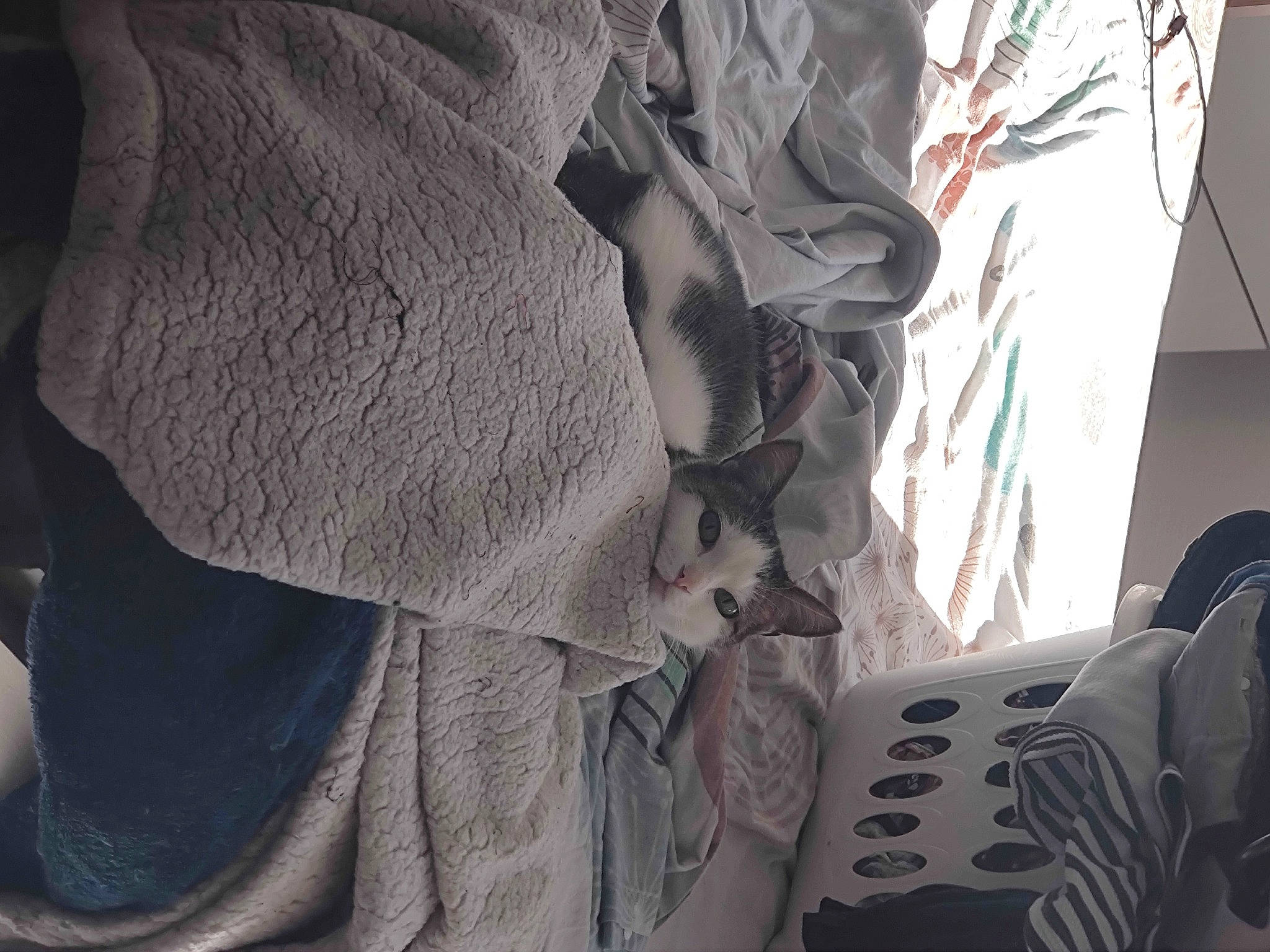 Cannelle participe au concours pour gagner de l'argent avec cette photo : bag, carmine, denim, electric_blue, fashion_accessory, fashion_design, grey, human_leg, linens, monochrome, monochrome_photography, pattern, personal_protective_equipment, room, shadow, sleeve, t_shirt, tints_and_shades, visual_arts, wood