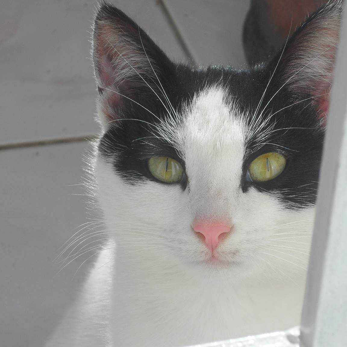 Minos is registered to the contest to win money with this photo: