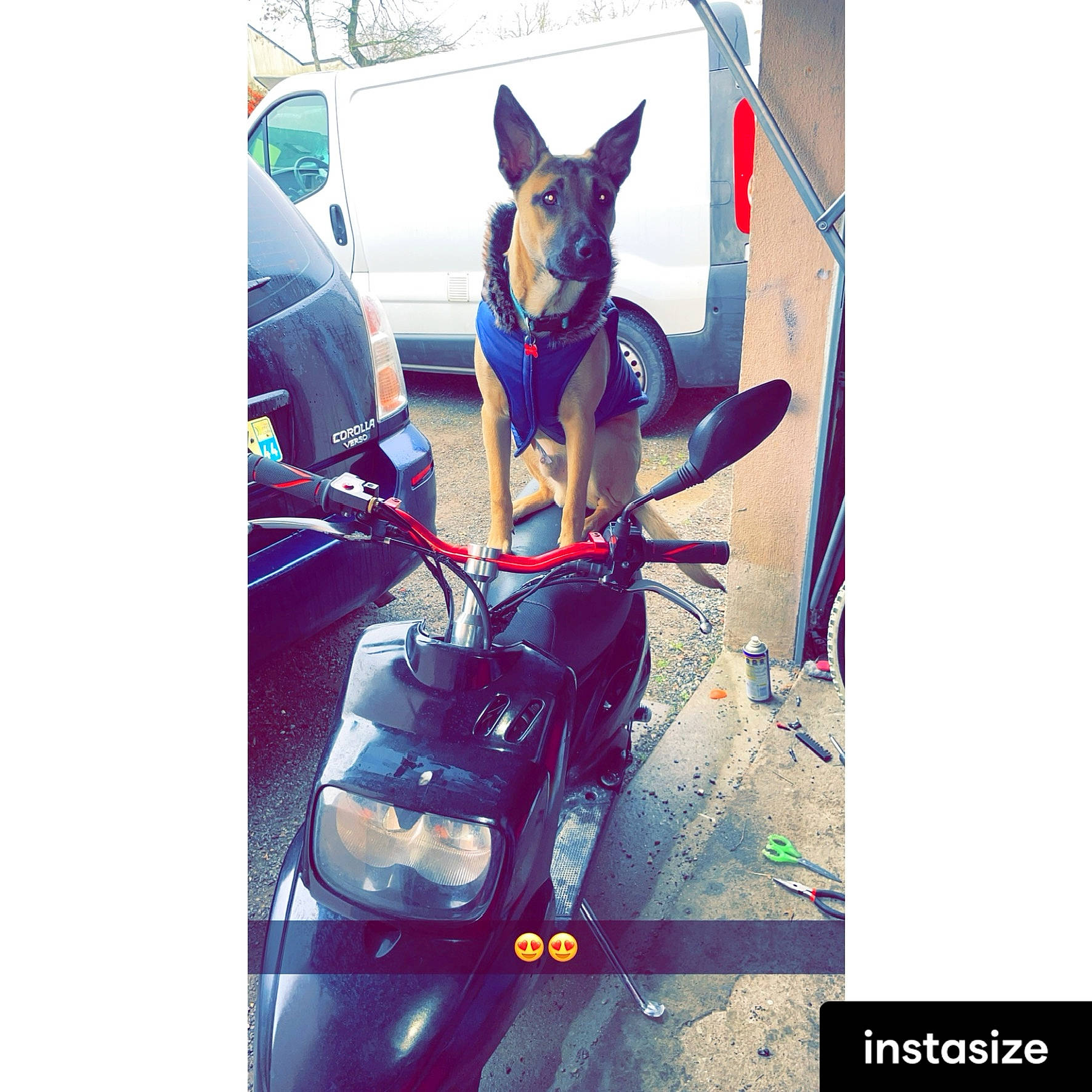 Sylver a rejoint le concours — aidez-le/la à gagner de superbes lots ! auto_part, automotive_design, automotive_exterior, automotive_lighting, automotive_tire, automotive_wheel_system, carnivore, electric_blue, felidae, fender, font, headlamp, magenta, motor_vehicle, motorcycle, rim, spoke, tire, vehicle, wheel