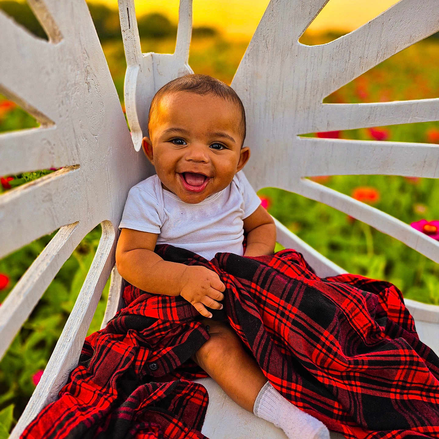 Bentley joined the competition — help win amazing prizes! baby, bench, black, blanket, child, cute, flower, grass, happy, nature, one_person, outdoor, plaid, portrait, red, sitting, smiling, sunset, warm_light, white