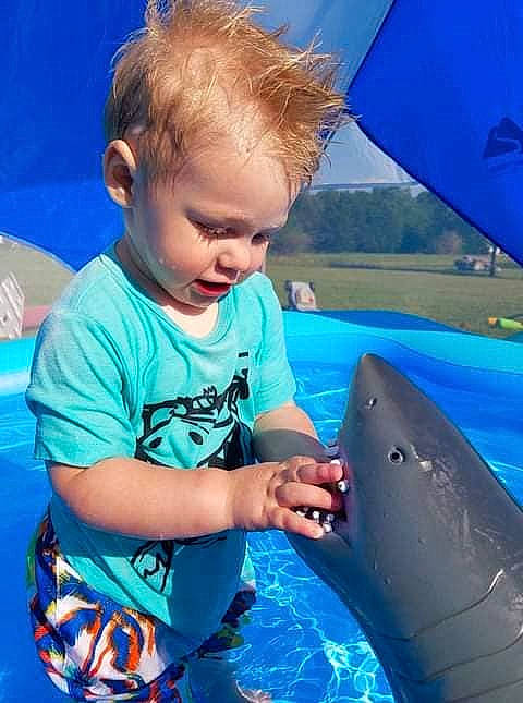 Jaden is registered to the contest to win money with this photo: aqua, baby, baby_toddler_clothing, cartilaginous_fish, cetacea, child, fin, fish, fun, human, jaw, lamniformes, leisure, marine_biology, marine_mammal, person, shark, toddler, vacation, vertebrate
