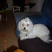 Iris participe au concours pour gagner de l'argent avec cette photo :