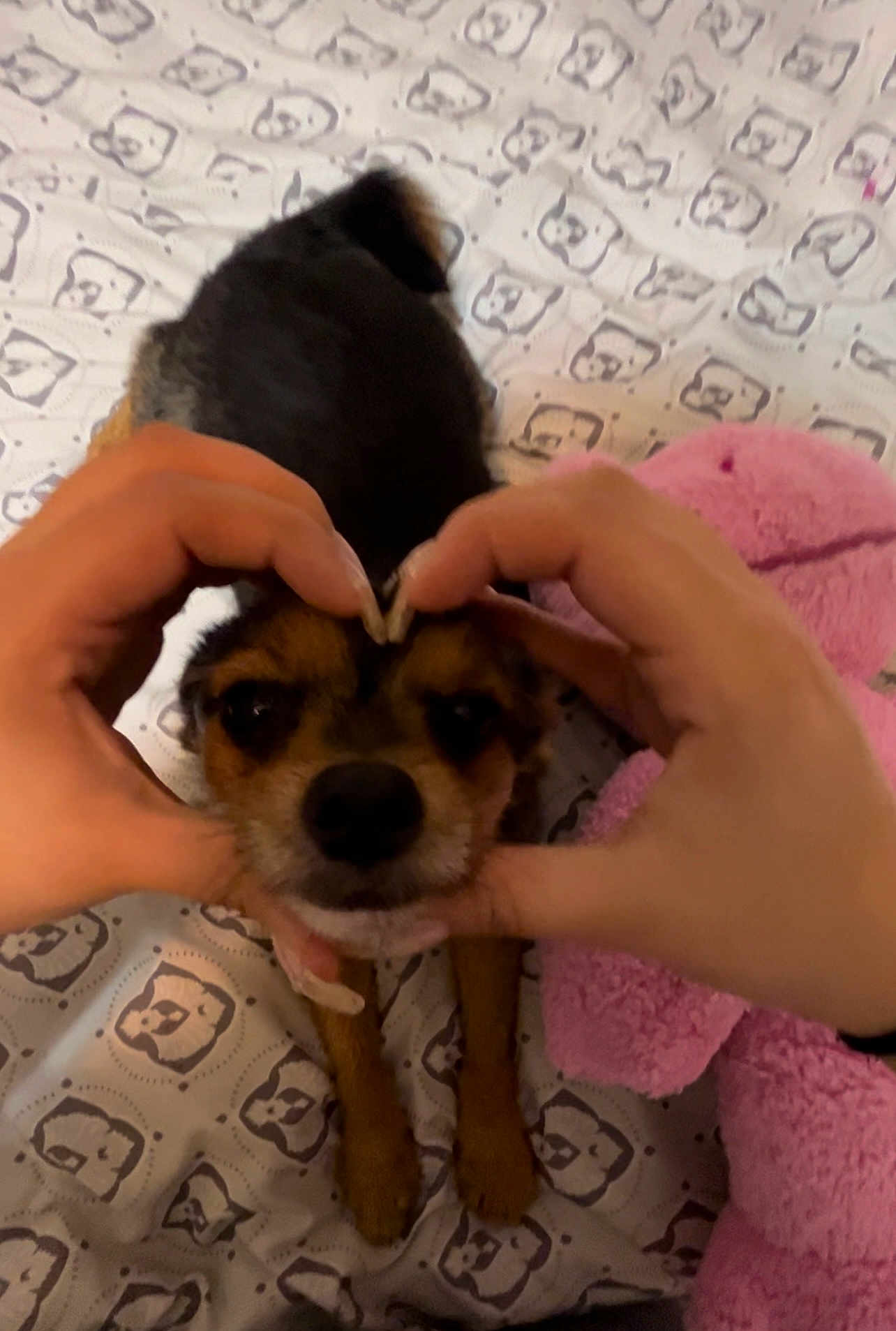 Gordo