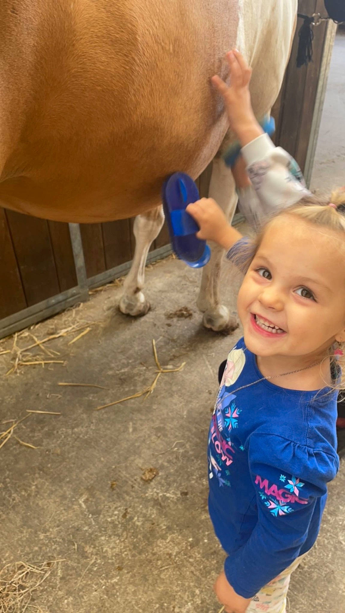 Ellianna a rejoint le concours — aidez-le/la à gagner de superbes lots ! bovine, dairy_cow, electric_blue, eye, fawn, fun, happy, human_leg, joy, leisure, livestock, mammal, nose, organ, person, smile, snout, t_shirt, terrestrial_animal, toddler