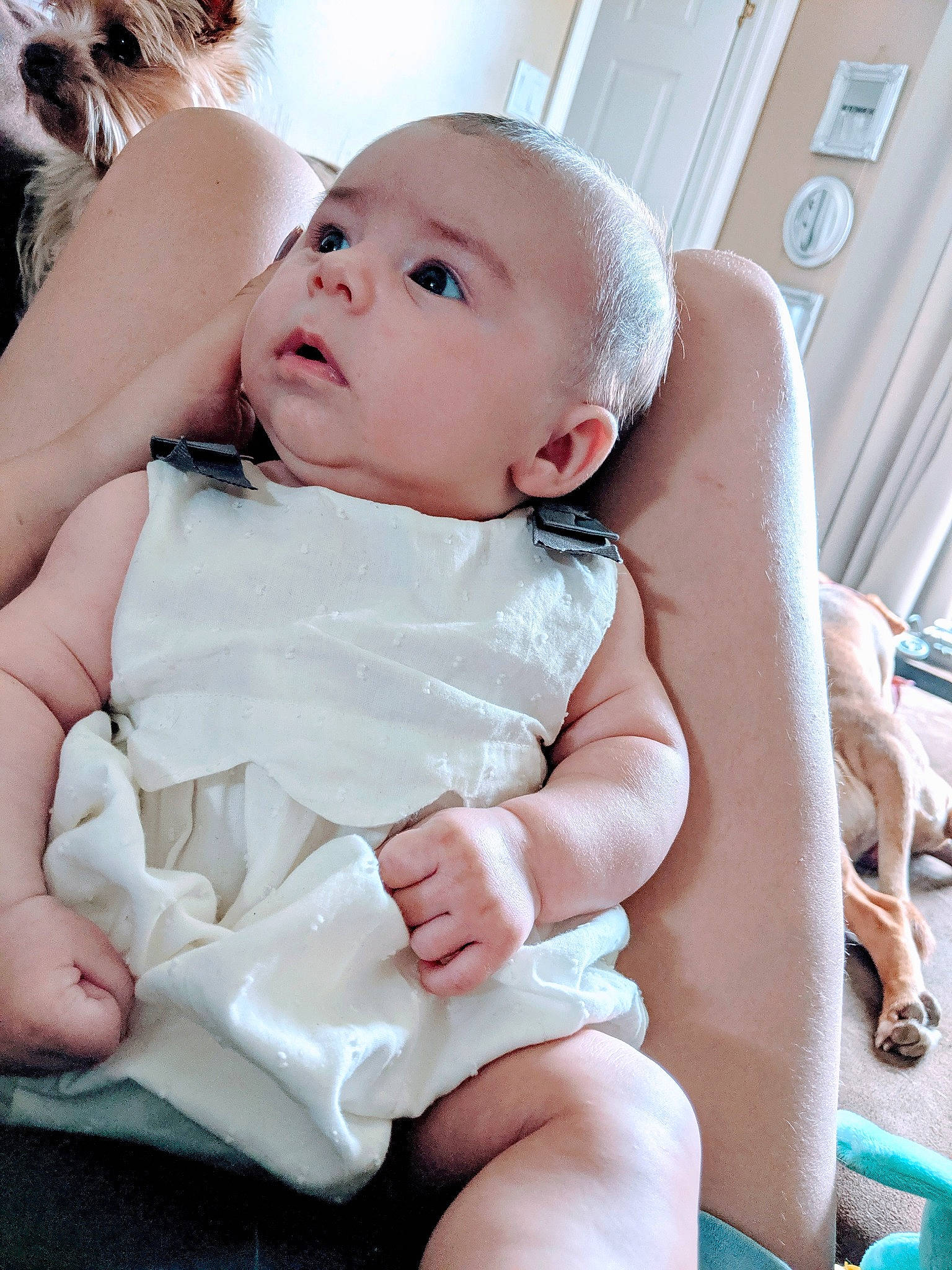 Haylie participe au concours pour gagner de l'argent avec cette photo : baby, cheek, child, leg, mother, person, sitting, skin, toddler