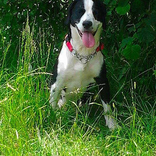 Rosie joined the competition — help win amazing prizes!