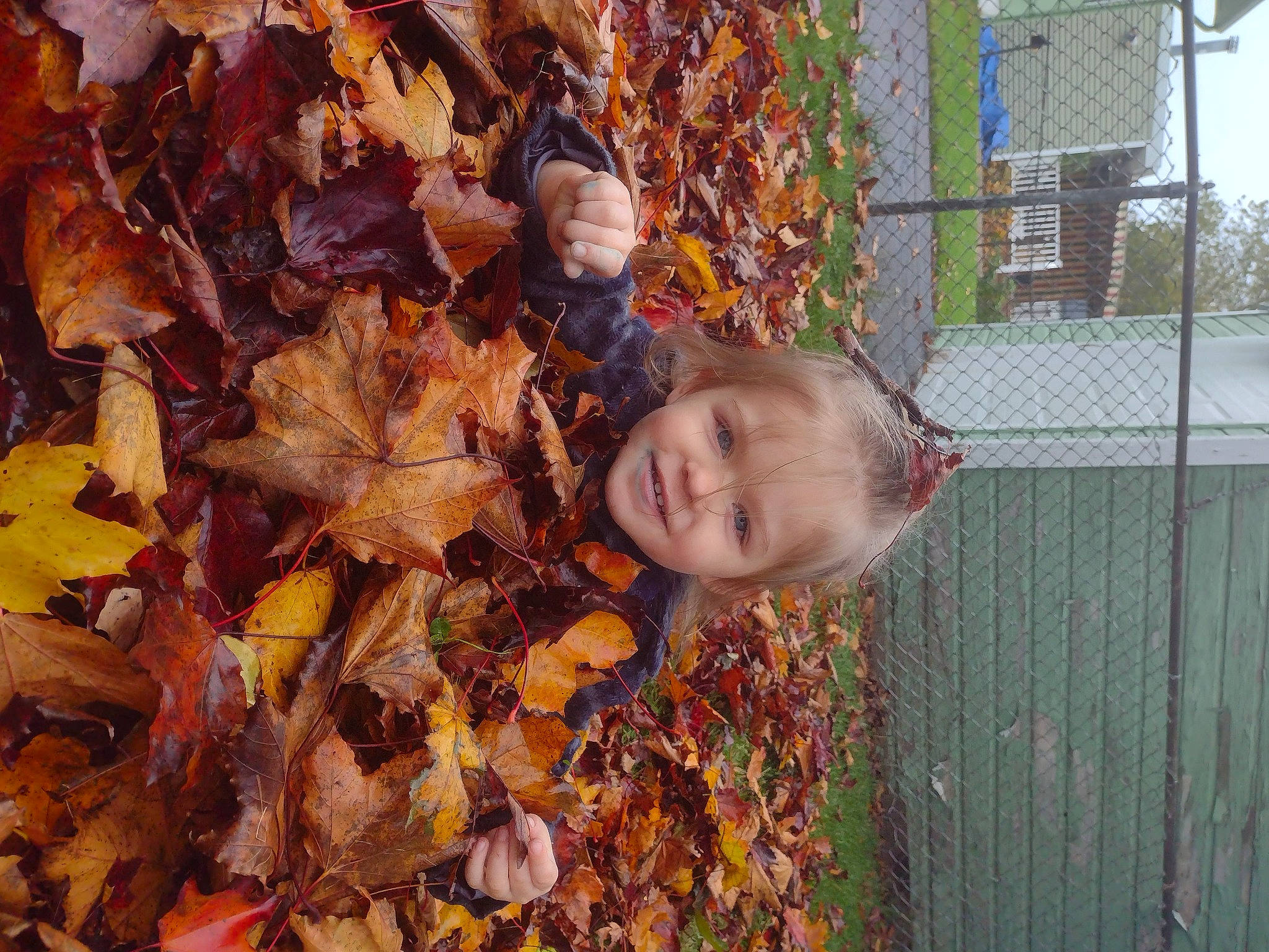 Ruby is registered to the contest to win money with this photo: autumn, deciduous, fence, grass, home_fencing, joy, mesh, natural_landscape, northern_hardwood_forest, people_in_nature, person, smile, soil, spring, tints_and_shades, toddler, tree, trunk, twig, wire_fencing