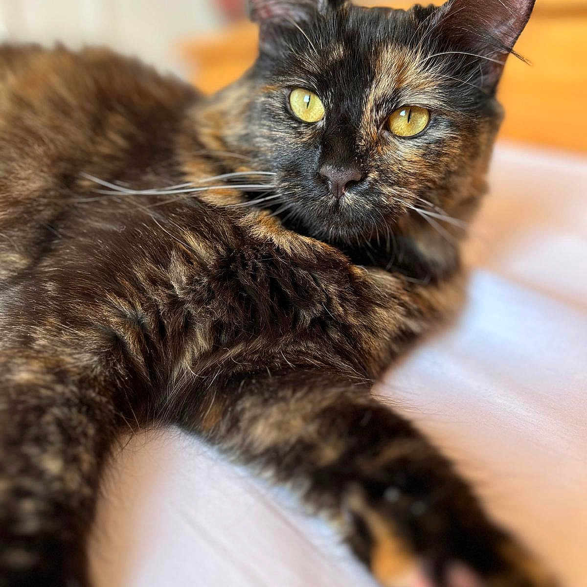 Kiara