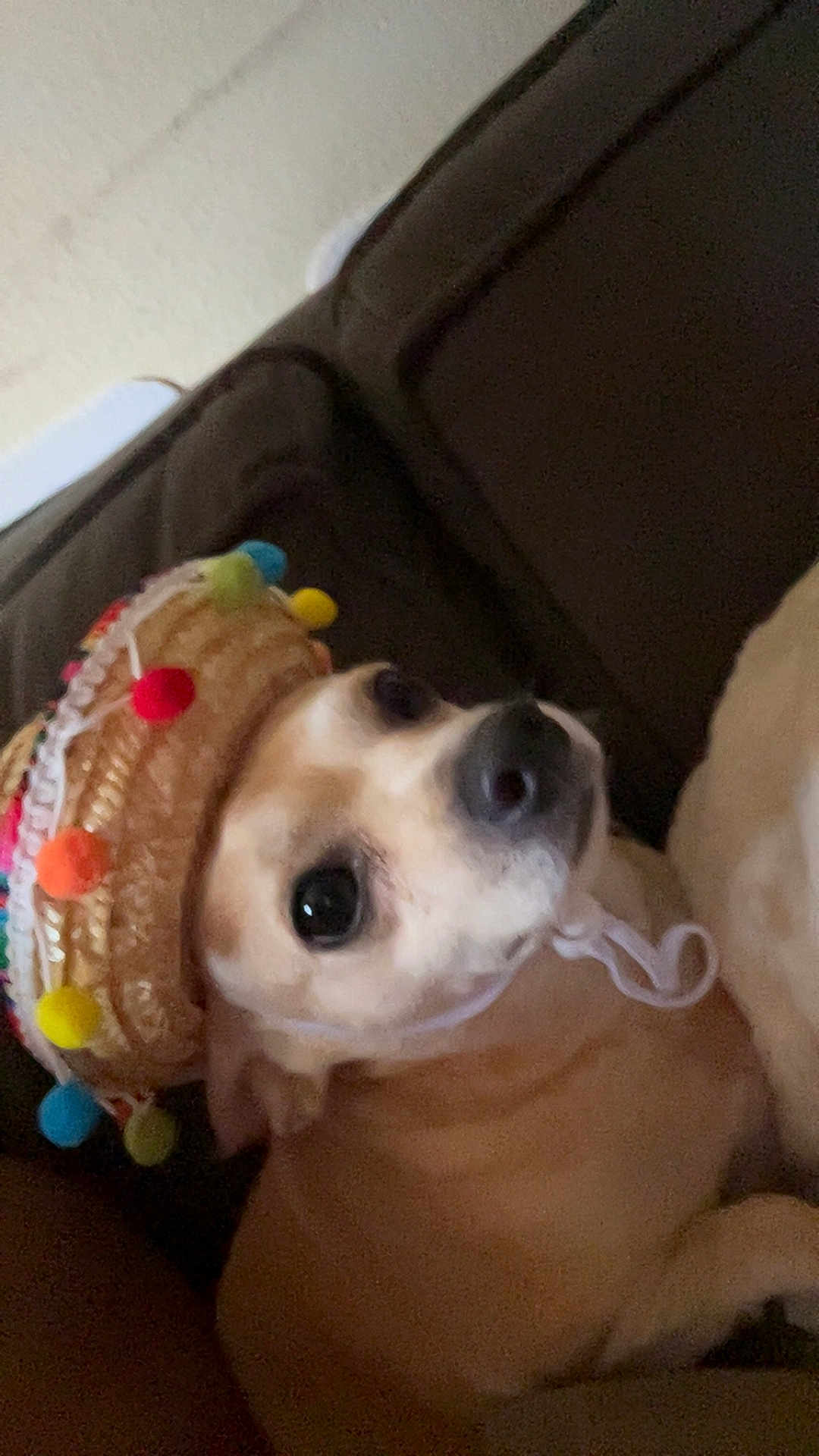 Churro