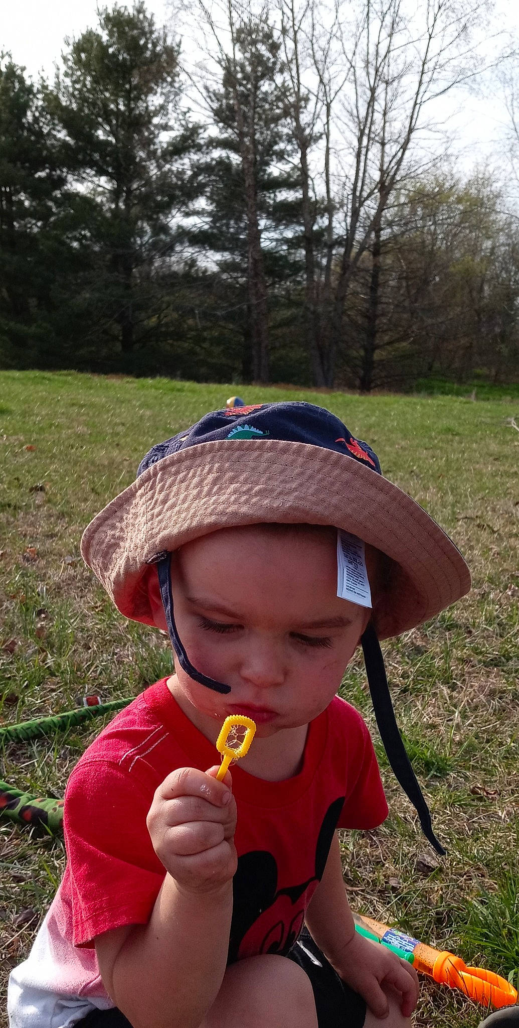 Andrew is registered to the contest to win money with this photo: baseball_cap, cap, child, fashion_accessory, grass, grass_family, grassland, hat, headgear, headwear, people_in_nature, person, personal_protective_equipment, plant, recreation, red, sky, sun_hat, sunglasses, toddler