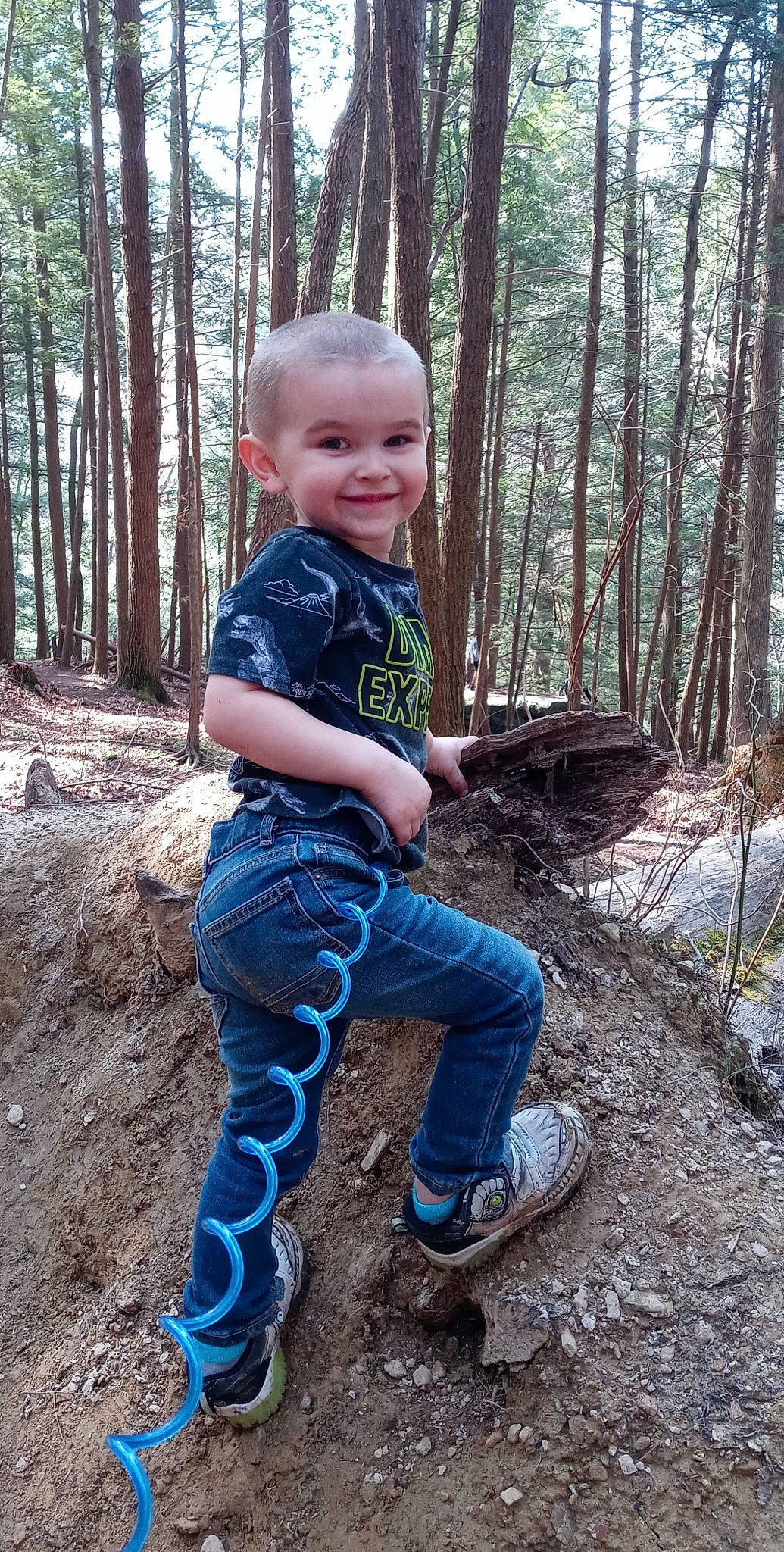Andrew joined the competition — help win amazing prizes! baby_toddler_clothing, branch, child, head, jeans, joy, leaf, leg, mammal, natural_environment, people_in_nature, person, plant, smile, sneakers, t_shirt, toddler, tree, trunk, vertebrate