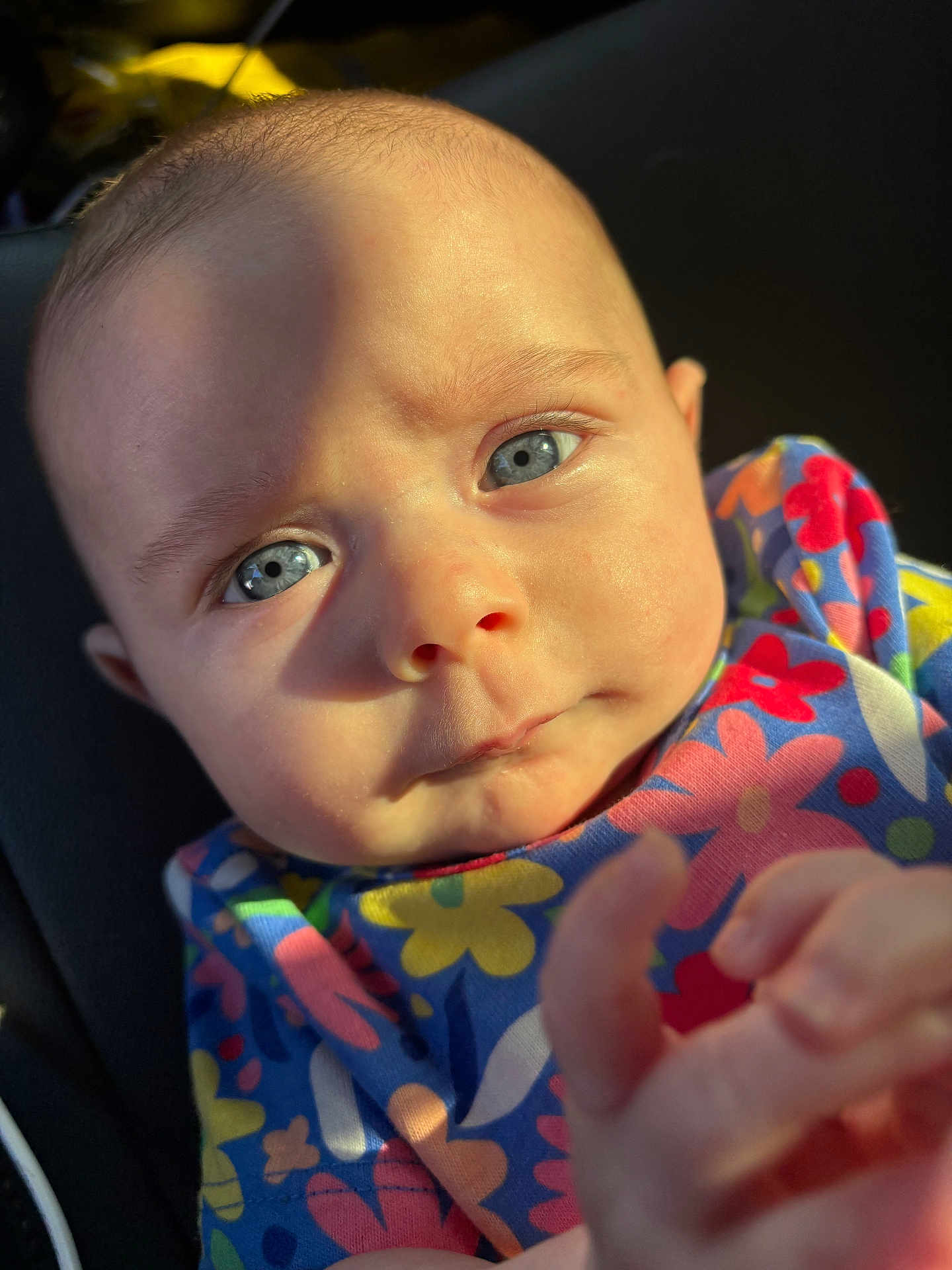 Emma joined the competition — help win amazing prizes! baby, infant, close_up, blue_eyes, floral_clothing, hand, face, cheeks, portrait, sunlight, natural_light, car_seat, newborn, skin, eyelashes, expression, adorable, curious, pink_lips, head