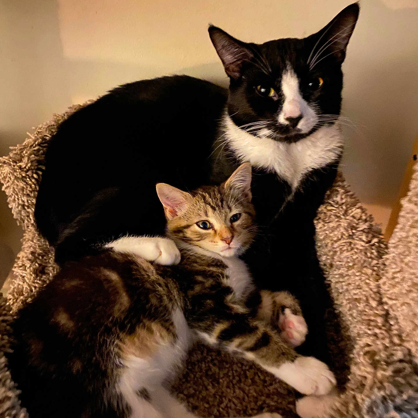 Squirt And Maggie