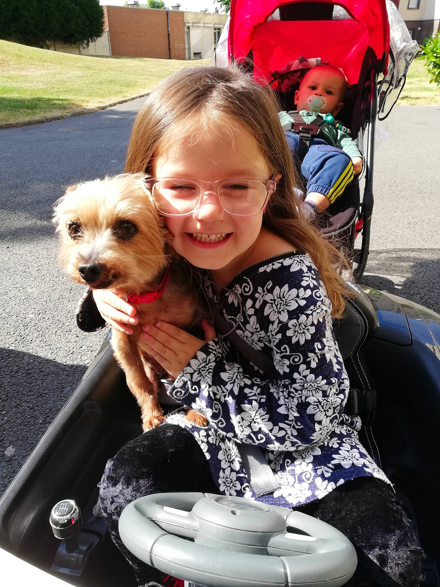 Eve a rejoint le concours — aidez-le/la à gagner de superbes lots ! baby_carriage, canidae, car_seat, carnivore, companion_dog, dog, dog_breed, dog_walking, product, puppy, puppy_love, sporting_group, vehicle