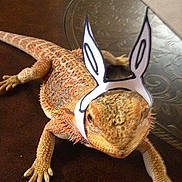 Douggy P is registered to the contest to win money with this photo: