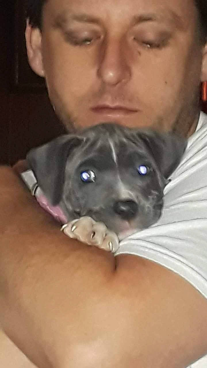 Roxy joined the competition — help win amazing prizes! beard, black_hair, canidae, carnivore, comfort, companion_dog, dog, dog_breed, ear, eyelash, facial_hair, fawn, fur, gesture, jaw, snout, sporting_group, toy_dog, whiskers, working_animal