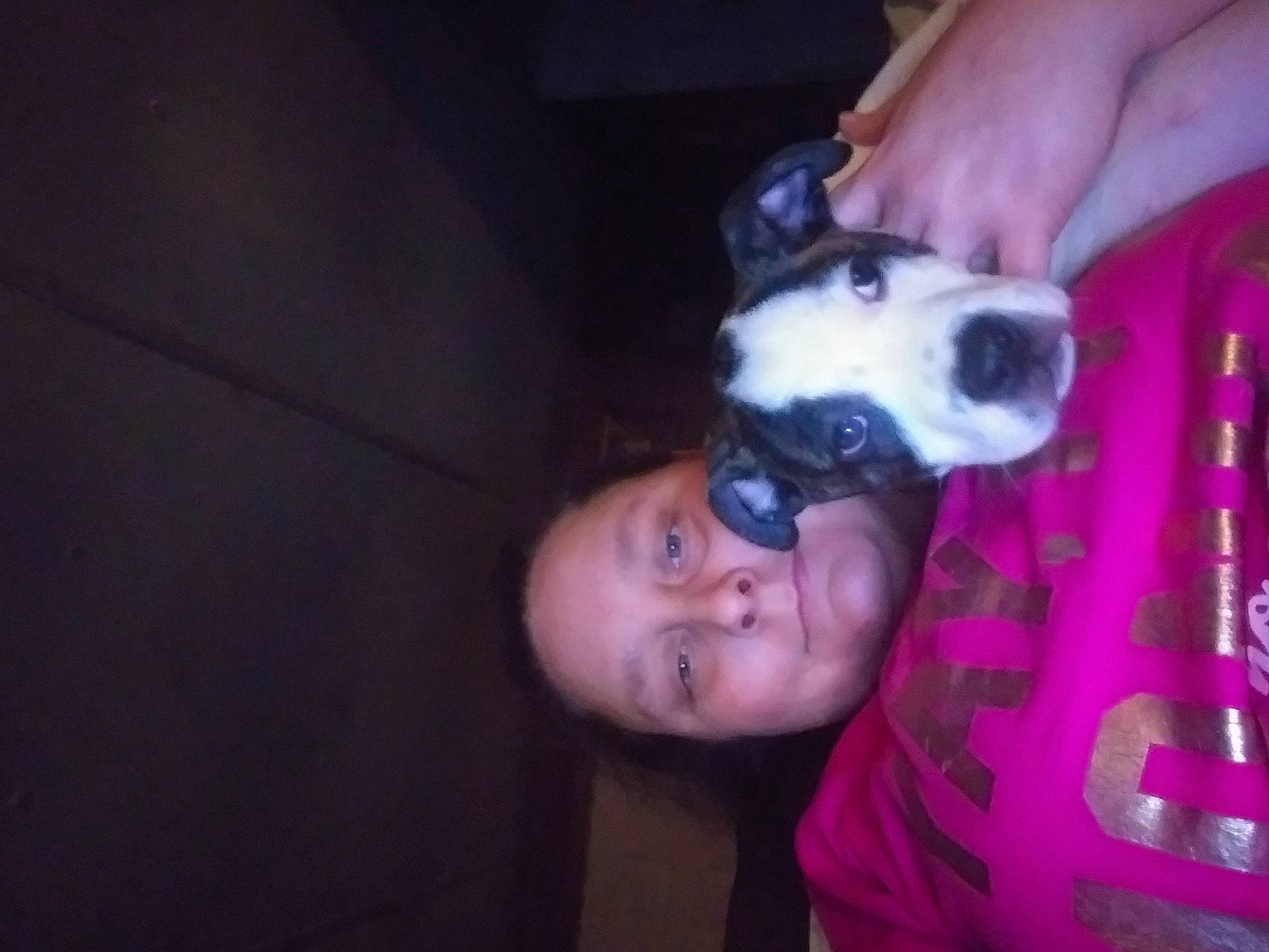 Anna is registered to the contest to win money with this photo: canidae, carnivore, companion_dog, dog, dog_breed, ear, fawn, fun, fur, nail, non_sporting_group, sporting_group, t_shirt