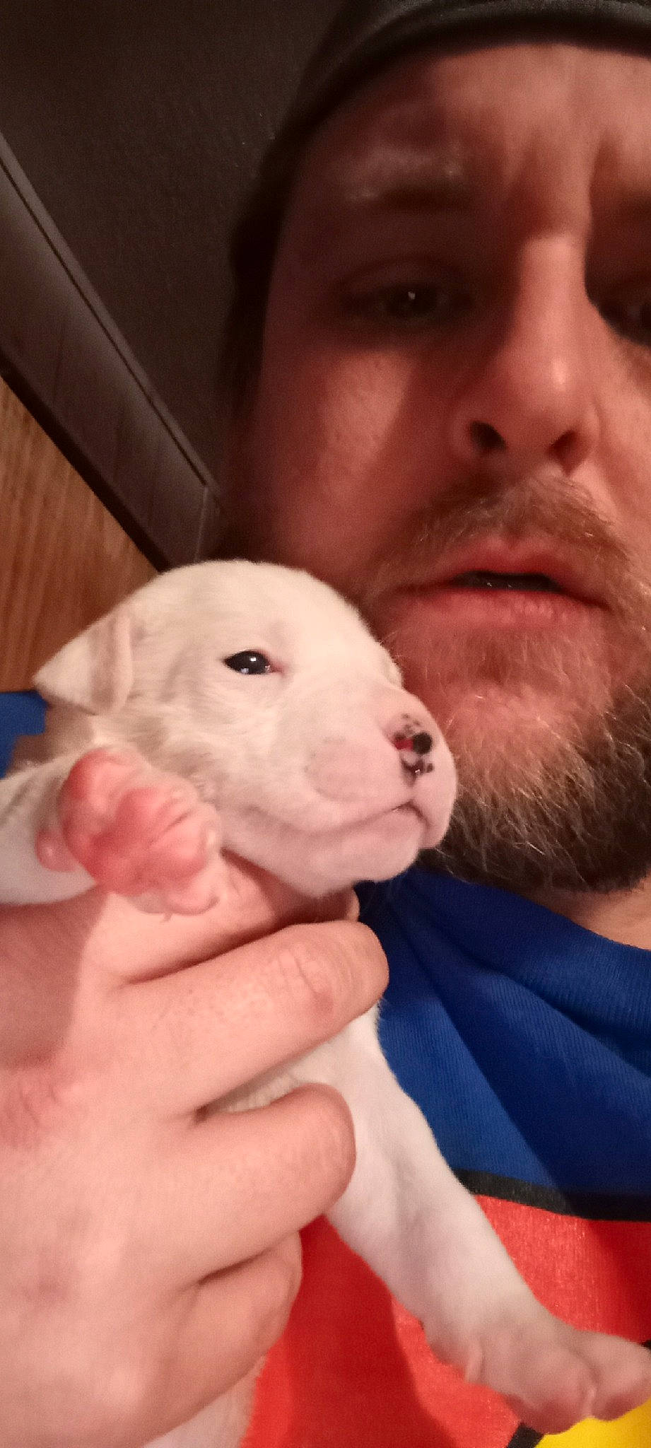 Elsa joined the competition — help win amazing prizes! beard, cheek, ear, eye, eyelash, fawn, finger, gesture, hand, happy, human_body, iris, mammal, mouth, nose, rabbit, rabbits_and_hares, skin, snout, whiskers