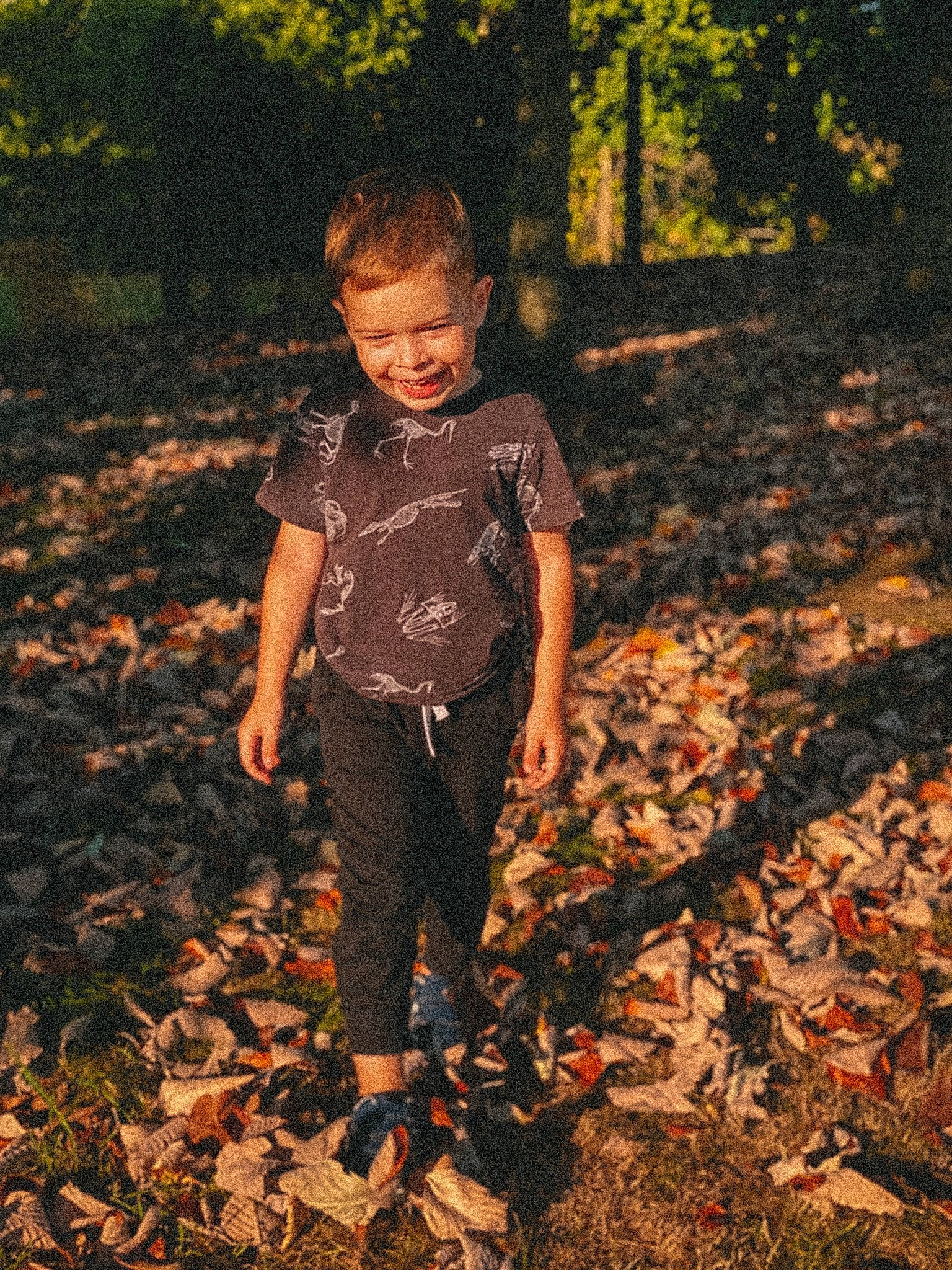 Danylo is registered to the contest to win money with this photo: adaptation, branch, child, deciduous, flash_photography, forest, grass, happy, joy, landscape, natural_environment, people_in_nature, person, plant, t_shirt, tints_and_shades, toddler, tree, trunk, wood