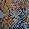 Billy joined the competition — help win amazing prizes! baby, child, infant, face, smiling, happy, playpen, baby_gate, indoor, home, toys, toy_room, colorful, plastic, mesh, floor, wooden_floor, sitting, portrait, playtime