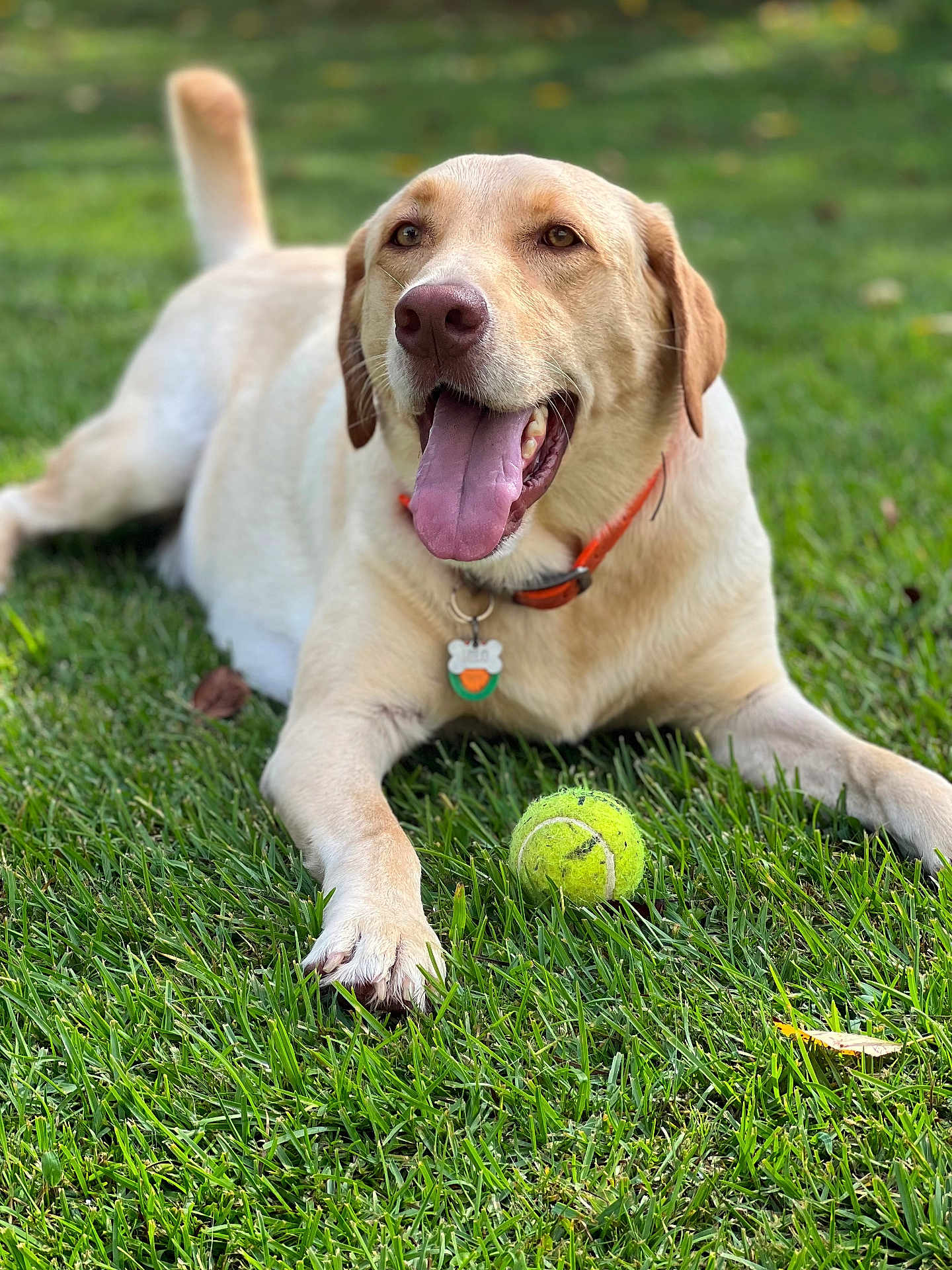 Milo