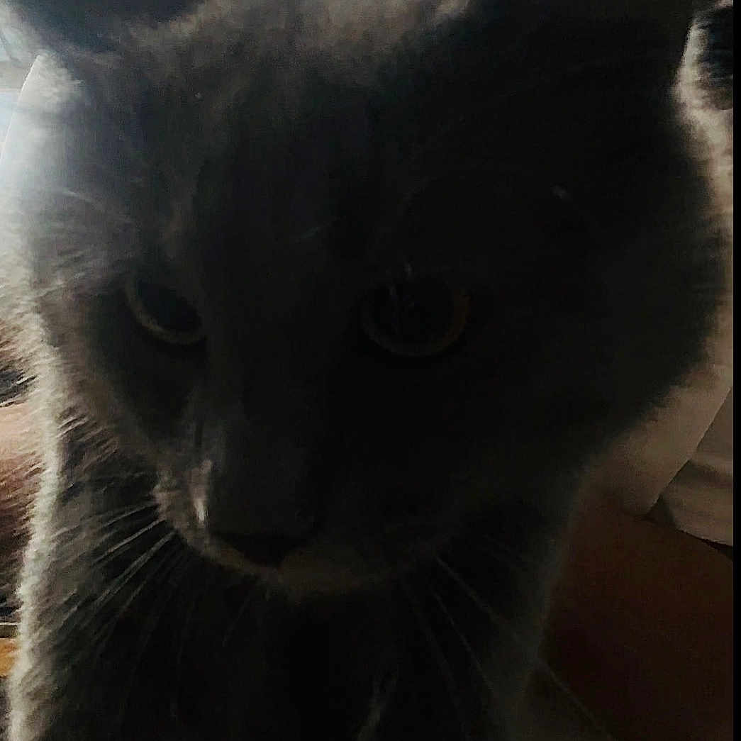 Crowley