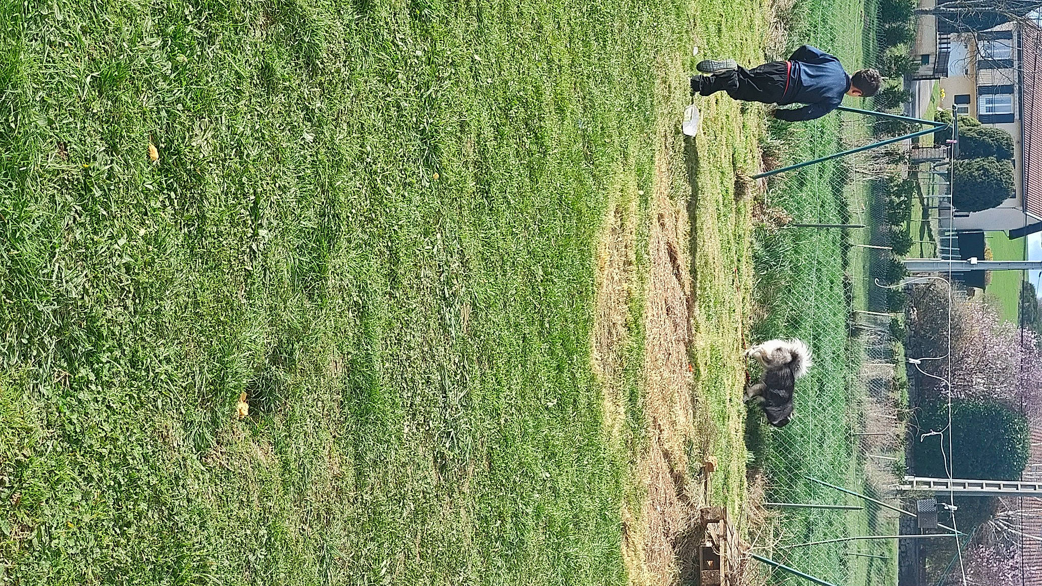 Skaï participe au concours pour gagner de l'argent avec cette photo : agriculture, art, crop, field, grass, grass_family, grassland, groundcover, hedge, landscape, lawn, meadow, pasture, people_in_nature, plant, prairie, shrub, soil, tree, wood