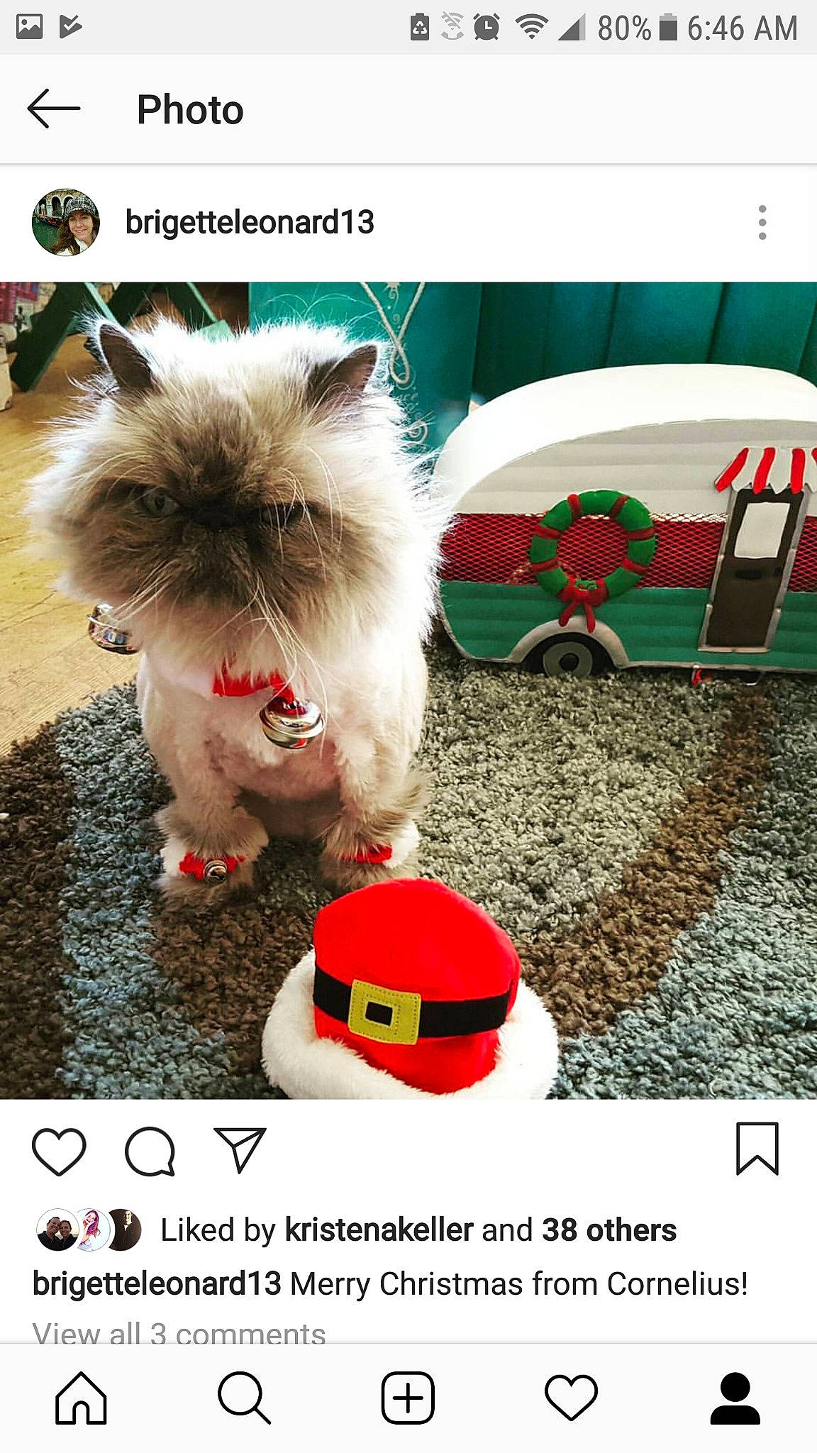 Cornelius joined the competition — help win amazing prizes! carnivoran, cat, cat_like_mammal, font, headwear, joy, kitten, mammal, person, photo_caption, small_to_medium_sized_cats, snout, vertebrate, whiskers