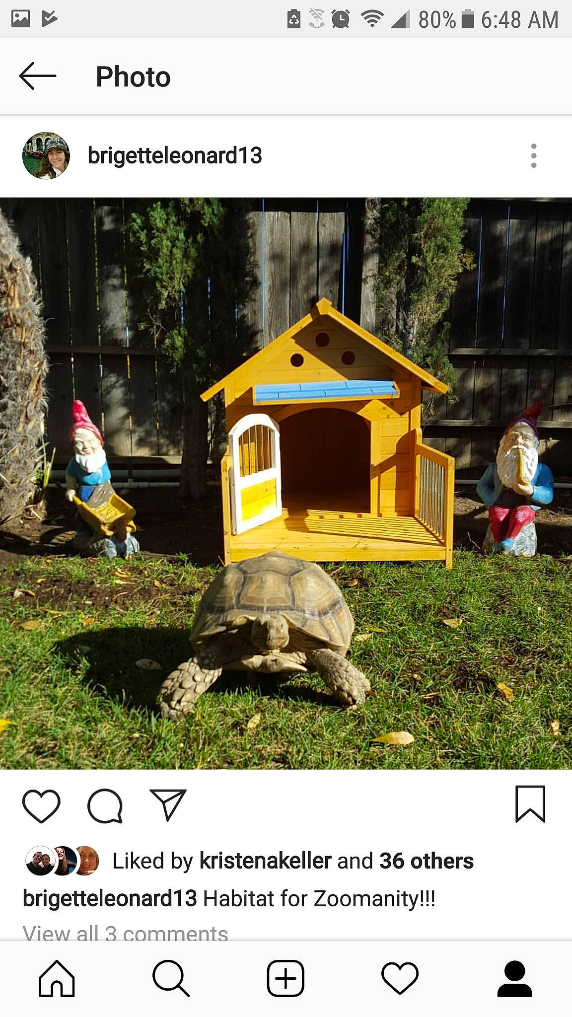 Cleo is registered to the contest to win money with this photo: doghouse, headwear, house, joy, person, screenshot, shed