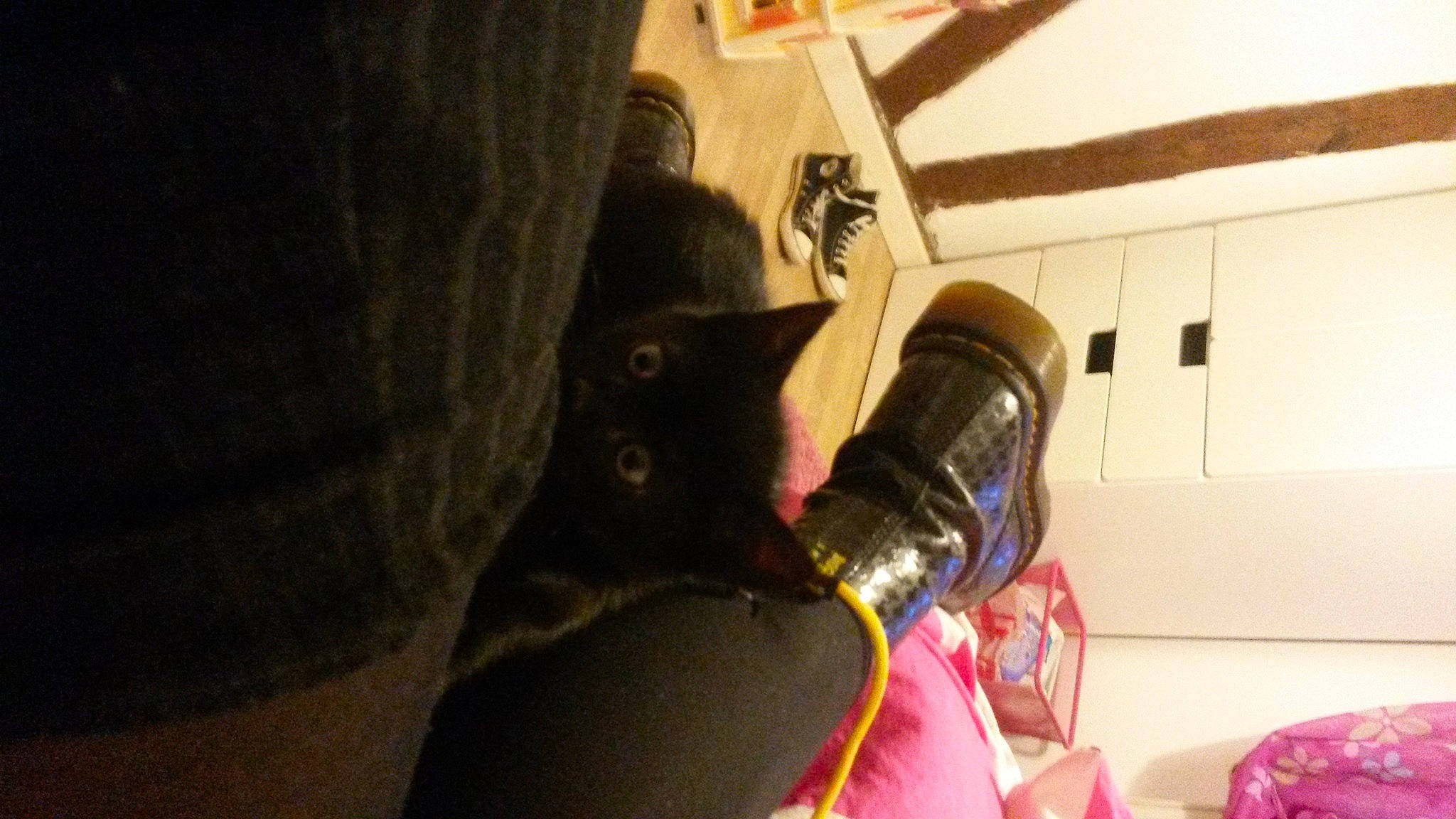 Uta a rejoint le concours — aidez-le/la à gagner de superbes lots ! black_cat, bombay, bottle, canidae, carnivore, cat, comfort, dog_breed, domestic_short_haired_cat, felidae, flooring, fur, hardwood, room, shelf, small_to_medium_sized_cats, sporting_group, tail, whiskers, wood