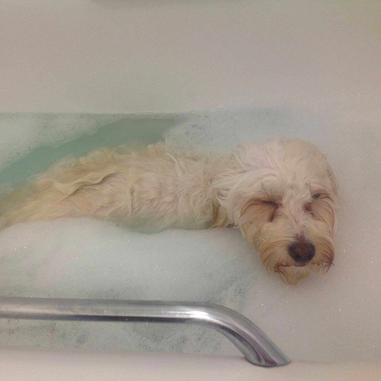 Mylos joined the competition — help win amazing prizes!