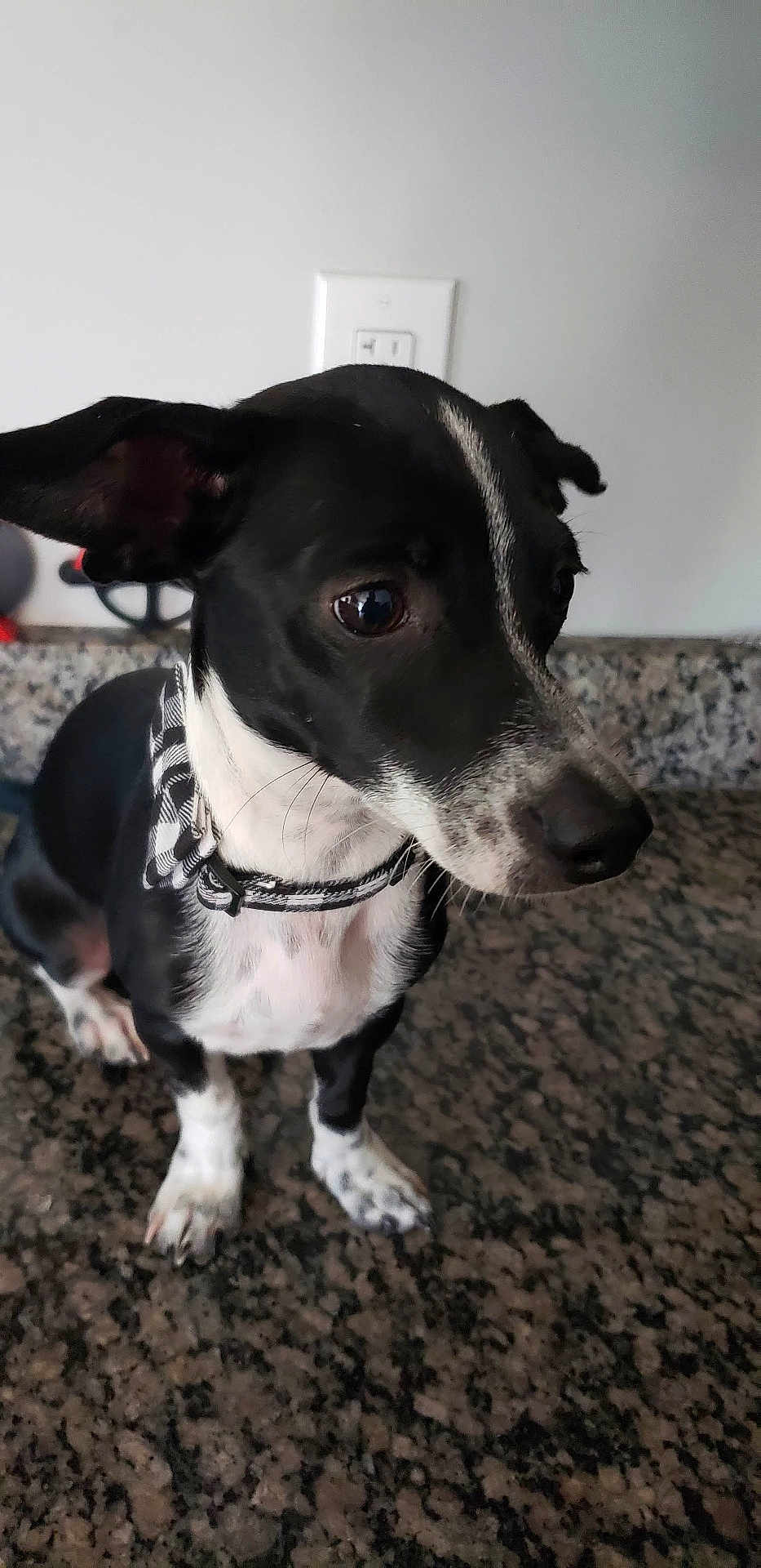 Kilo