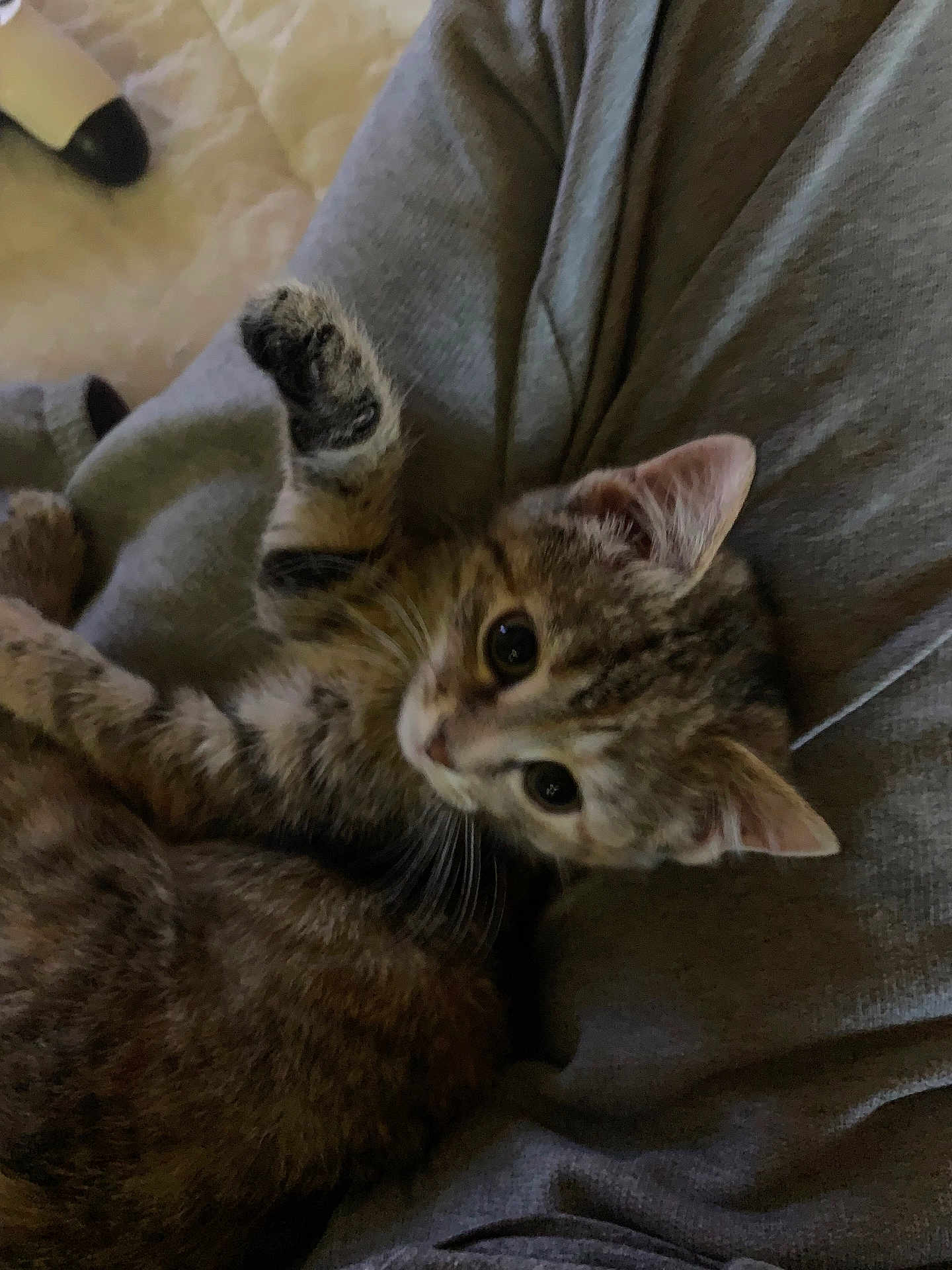 Luna