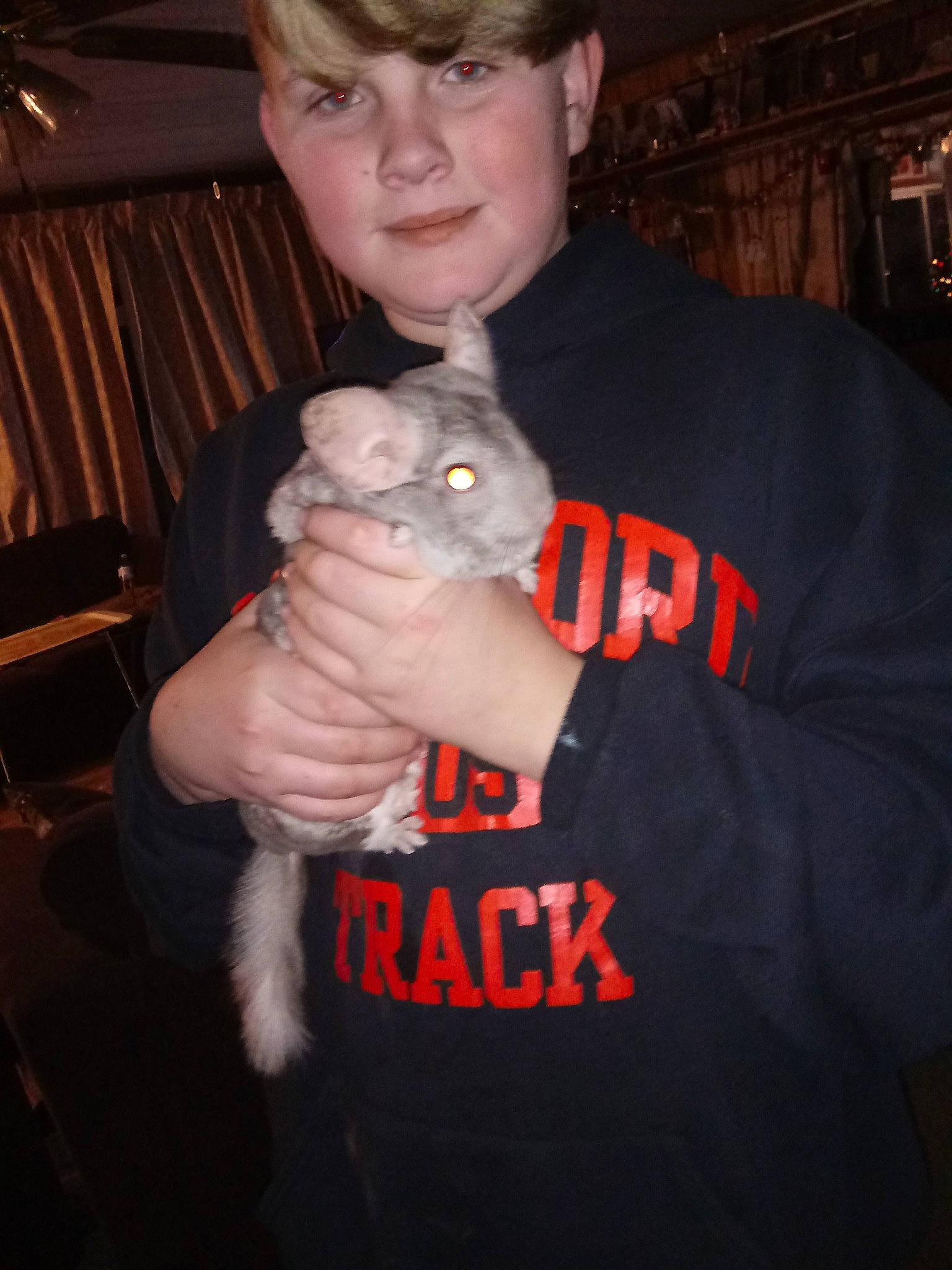 Freckles is registered to the contest to win money with this photo: carnivoran, cat, cat_like_mammal, finger, fun, mammal, organ, person, product, small_to_medium_sized_cats, smile, t_shirt, vertebrate