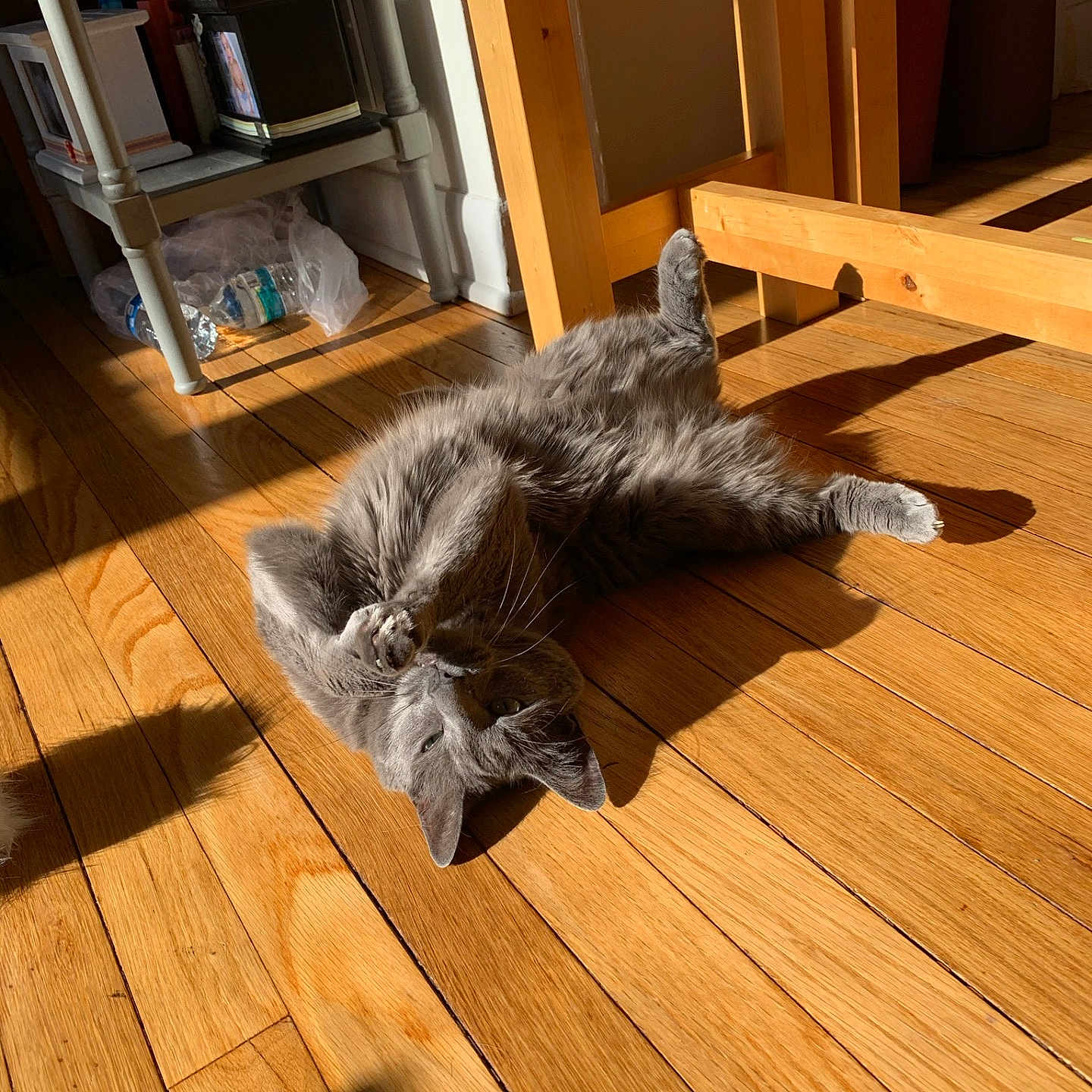 Sprout