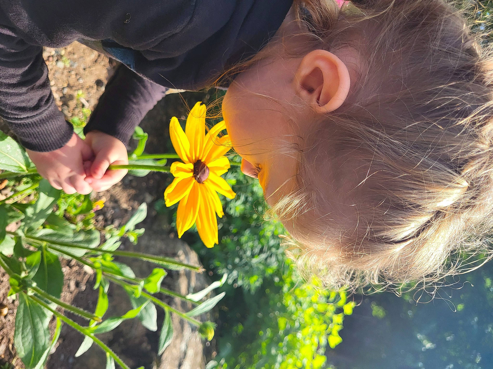 Harlee is registered to the contest to win money with this photo: beauty, botany, daytime, dress, flower, flowering_plant, gesture, grass, hand, happy, leaf, meadow, morning, people_in_nature, person, petal, plant, smile, summer, sunglasses