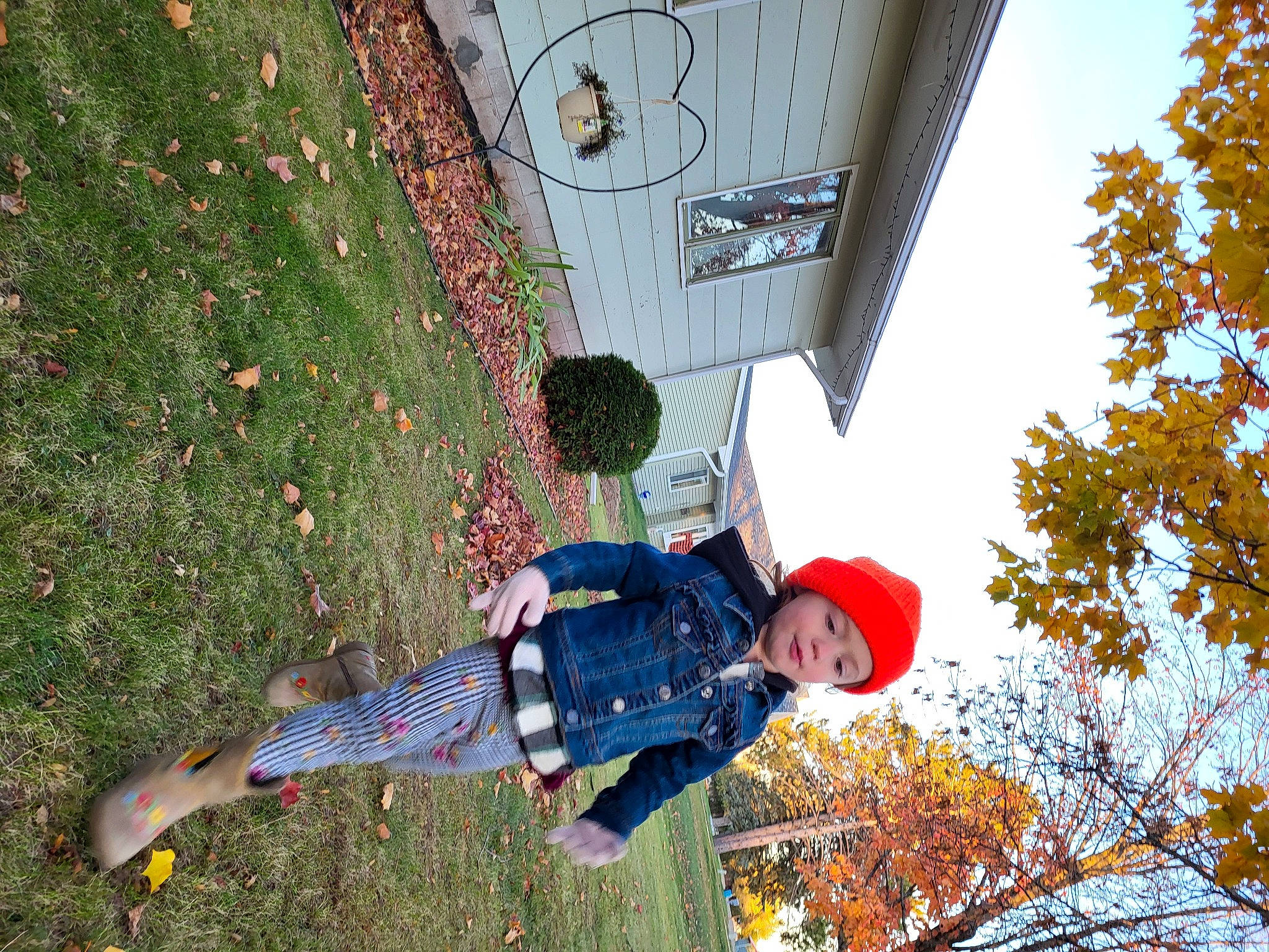 Harlee joined the competition — help win amazing prizes! adventure, fun, grass, headwear, landscape, leaf, leisure, people, people_in_nature, person, plant, play, recreation, red, shadow, sky, toddler, tree, window, winter