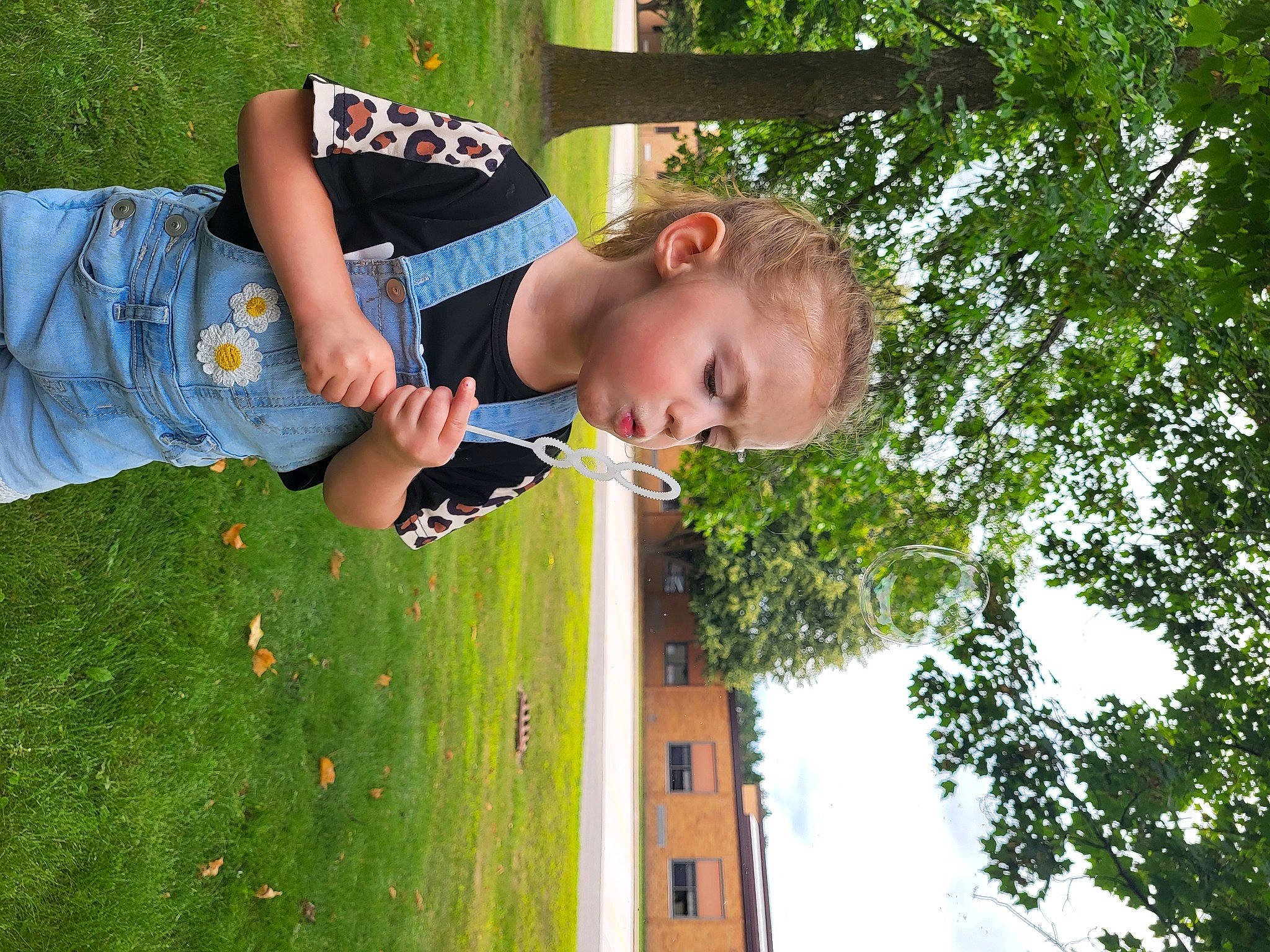 Harlee joined the competition — help win amazing prizes! child, fun, garden, grass, grass_family, green, happy, lawn, leaf, leisure, people_in_nature, person, plant, recreation, sky, spring, t_shirt, toddler, tree, window