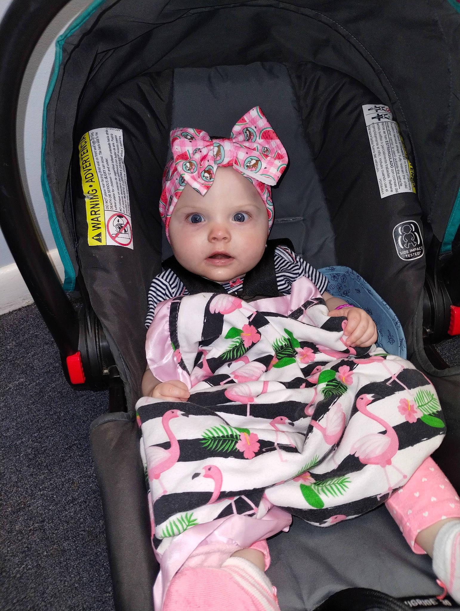 Mckenzie is registered to the contest to win money with this photo: auto_part, baby, baby_carriage, baby_in_car_seat, baby_products, baby_toddler_clothing, bag, car_seat, child, comfort, fashion_accessory, headwear, magenta, outerwear, pattern, person, pink, product, sitting, sleeve