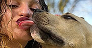 Alpha a rejoint le concours — aidez-le/la à gagner de superbes lots ! woman, dog, tongue, kiss, close_up, outdoor, smiling, curly_hair, light, face, pet, affection, nature, daylight, happy, expression, nose_ring, skin, animal, friendship