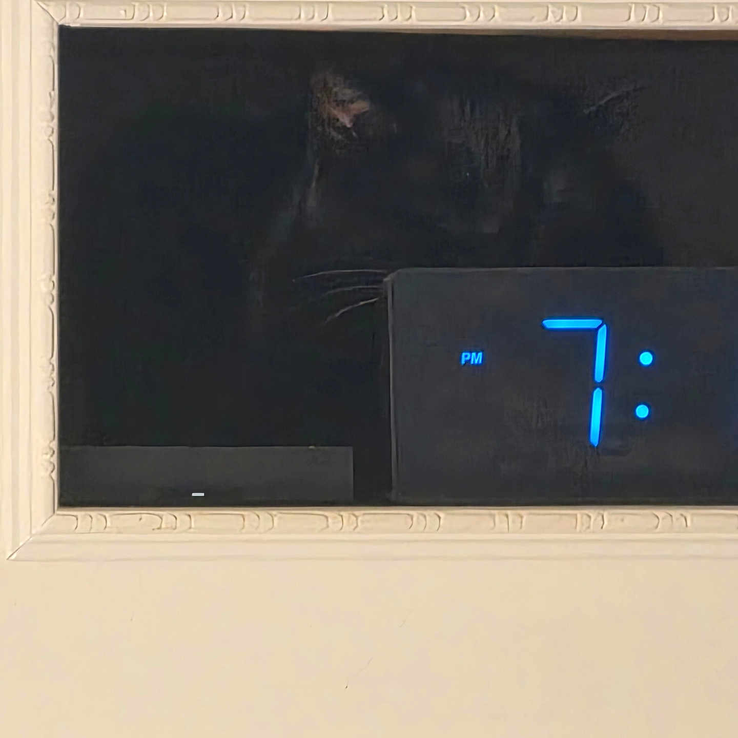 Salem