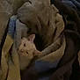 cat, blanket, cozy, sleepy, indoor, feline, soft, colorful_blanket, resting, comfort, snuggled, pet, cute, animal, fur, warm, relaxed, domestic, quiet, pile