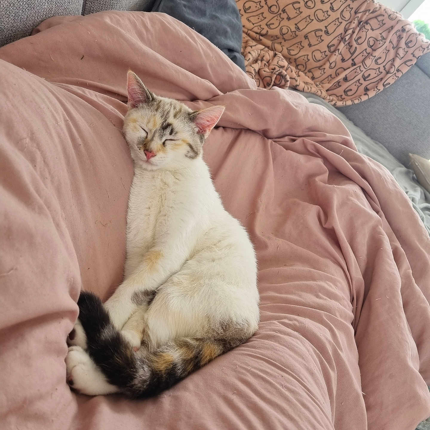 Mia