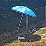 animal, backyard, blue_umbrella, cat, daytime, fence, garden_hose, grass, greenery, hedge, nature, outdoor, pet, quiet, relaxing, resting, shade, summer, sunny, wire_fence
