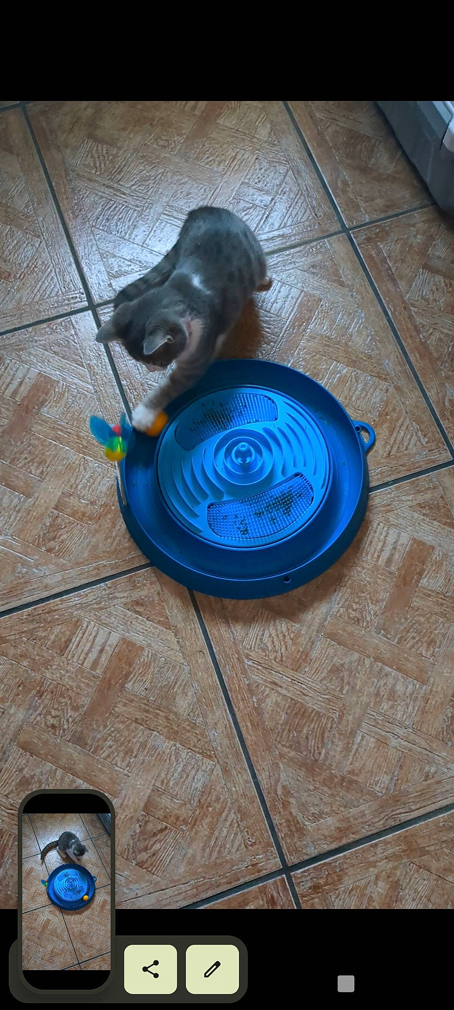 Oups a rejoint le concours — aidez-le/la à gagner de superbes lots ! art, automotive_wheel_system, azure, bronze_sculpture, circle, dishware, door_handle, electric_blue, flooring, gas, glass, hardwood, metal, mobile_phone, personal_protective_equipment, sculpture, serveware, statue, toy, wood