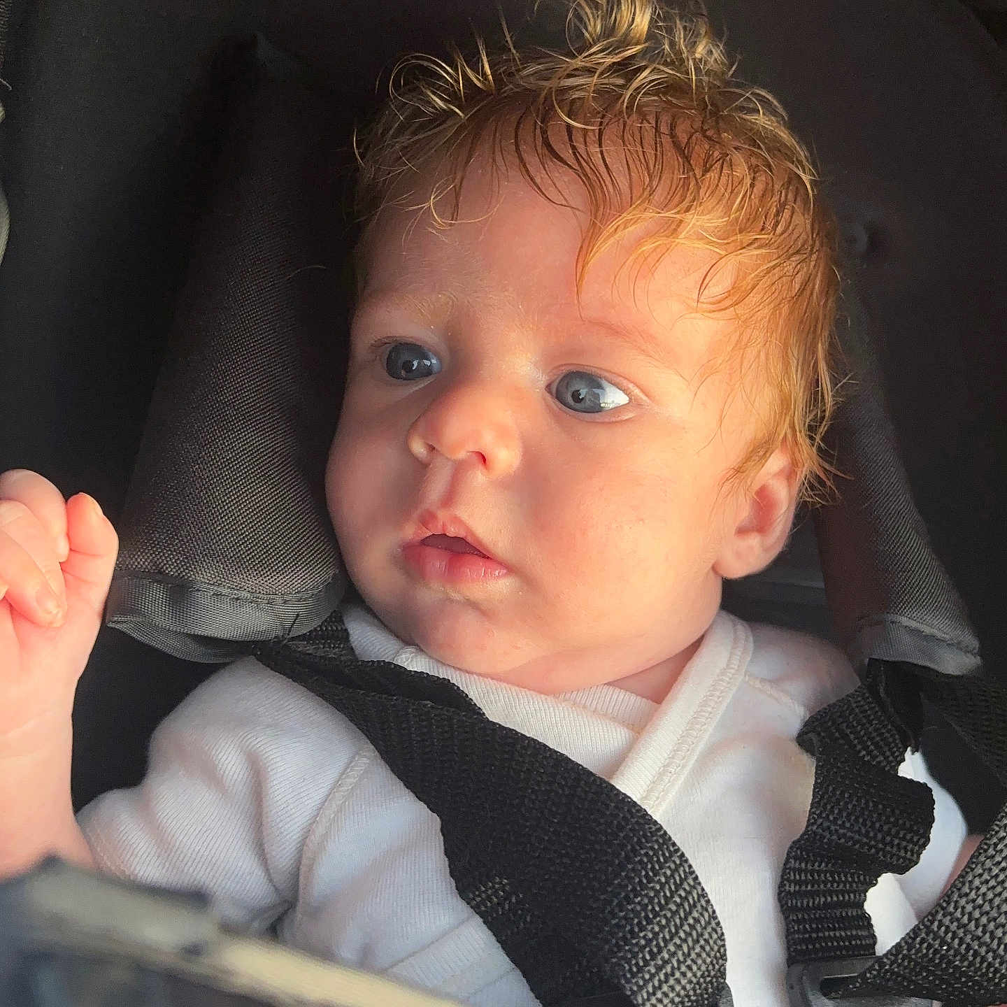 Illyano a rejoint le concours — aidez-le/la à gagner de superbes lots ! baby, blond_hair, blue_eyes, car_seat, child, closeup, curly_hair, cute, expression, indoor, infant, person, portrait, safety_harness, seatbelt, skin, soft_lighting, straps, white_clothing, young_child