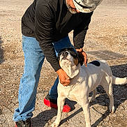 Boss joined the competition — help win amazing prizes! beard, black_spots, boots, casual_clothing, construction_site, dog, gravel, happy_dog, hard_hat, headgear, jeans, man, outdoor, petting, shadow, sunglasses, sunlight, vehicle, white_dog, working_person
