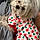 Daisy