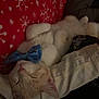 Winston joined the competition — help win amazing prizes! cat, sleeping, bow_tie, red_blanket, snowflake_pattern, white_fur, relaxed, indoor, pet, cute, cozy, animal, resting, human_arm, comfort, soft, fluffy, domestic_cat, nap, warm
