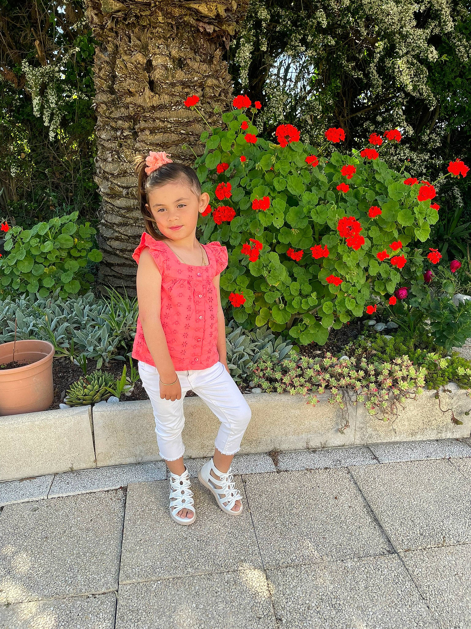 Milla participe au concours pour gagner de l'argent avec cette photo : asphalt, baby_toddler_clothing, flower, flowerpot, grass, groundcover, human_leg, joy, leaf, leisure, people_in_nature, person, petal, pink, plant, red, road_surface, rose_family, sleeve, standing